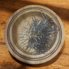 Magnetschale